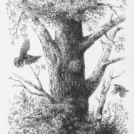 Одинокое дерево