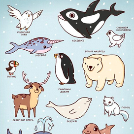 Полярные животные