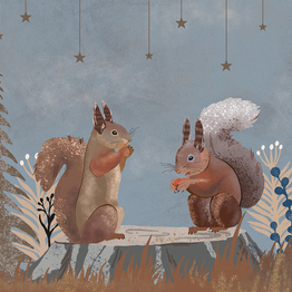 Зимний лес - Белки