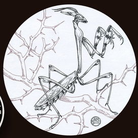 "Эмпуза полосатая" Серия "Красная книга СССР"