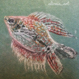 Жемчужный гуарами