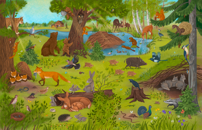 Лето в лесу