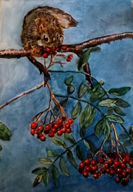 Ветка рябины