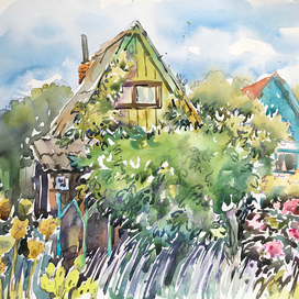 Дикий виноград 