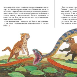 Коати и Жагуатирика 6