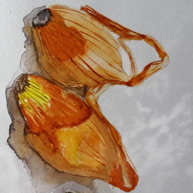 Лук, который пахнет собой и не стесняется