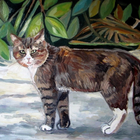 король джунглей