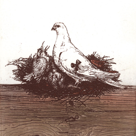 ИЛЛЮСТРАЦИИ К КНИГЕ «РАССКАЗЫ О ЖИВОТНЫХ»