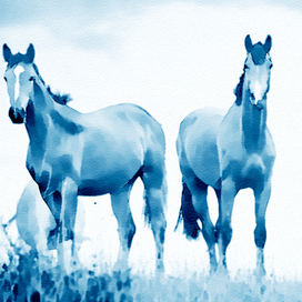 Ходют кони...