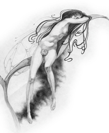 (без названия)