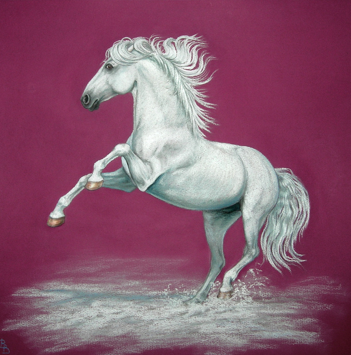 Танец на снегу