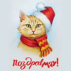 ПоздравМяу!