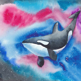 Косатка в космосе