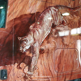 пума аэрография грузовик