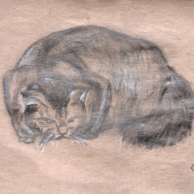 серия Кисловодск Кот Воркот