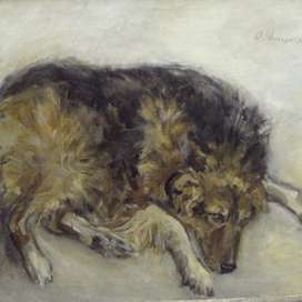 Майская ночь