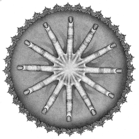 Холод. Сосульки.