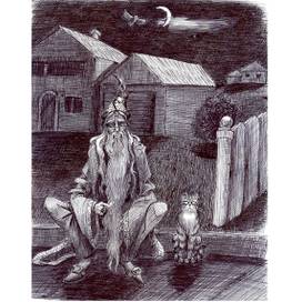 Книжные коты - МакГонагалл 