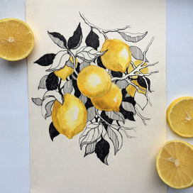 Скетч с лимонами