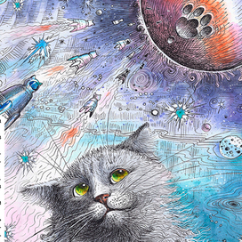 О чем думал кот.