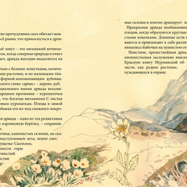 "О Хибинах с любовью"