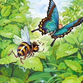 "Баранкин, будь человеком!"