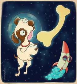 Стрелка в космосе