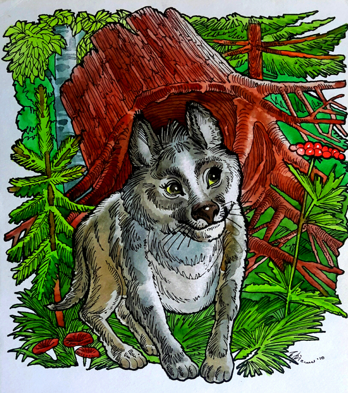 А. Загорулько. Т. М. Волчок