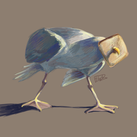 Чайка с хлебушком