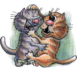 "Жили были два кота..."