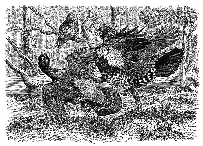 Досталось молодому от старого.