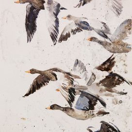 "Перелётные гуси".