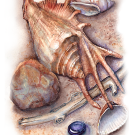 Морские сокровища