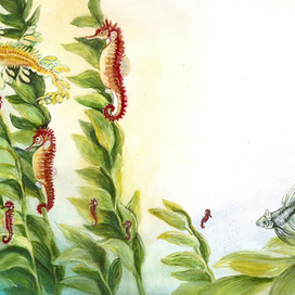 "Приключения принцессы-рыбки"