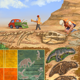 Что такое палеонтология