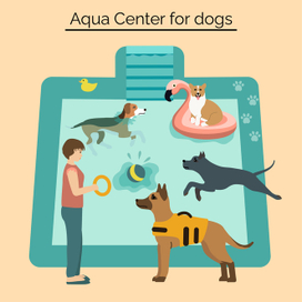 Aqua_centr_for_dogs