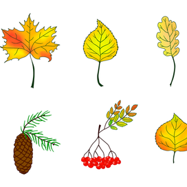 Векторные листья