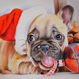 Новогодний бульдог