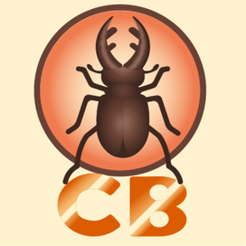 Аватар для TikTok аккаунта