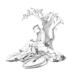 Самый большой абрикос