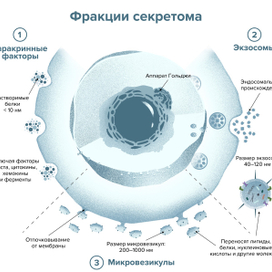 Сопроводительная иллюстрация для научно-популярной статьи