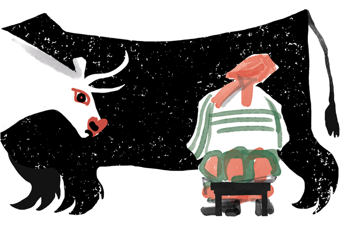 Пятнистая коровка