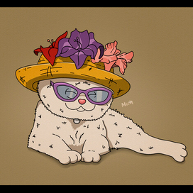 Котик в шляпе