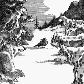 Стычка кланов