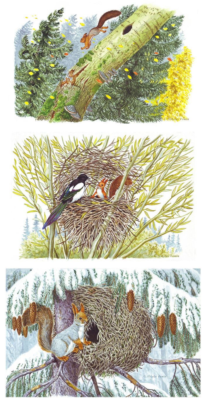 Белкин дом - 2.