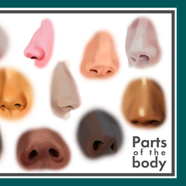 Parts of the body. Noses