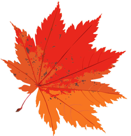 Кленовый лист