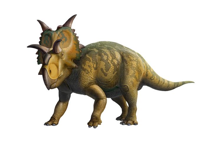 Персонажи Xenoceratops (динозавры)