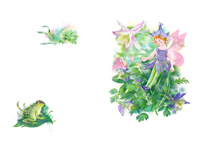 фея водосбора