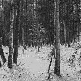 Лесная нежность